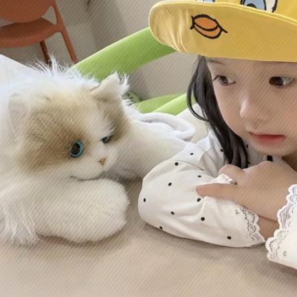 糕冷李小龙