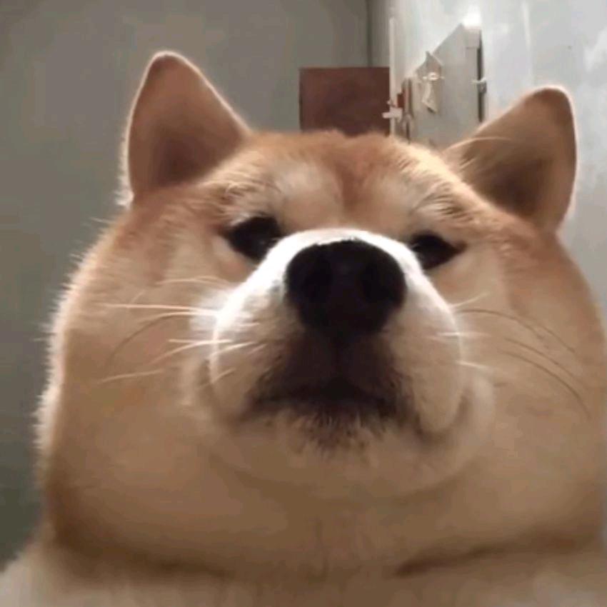 咬金