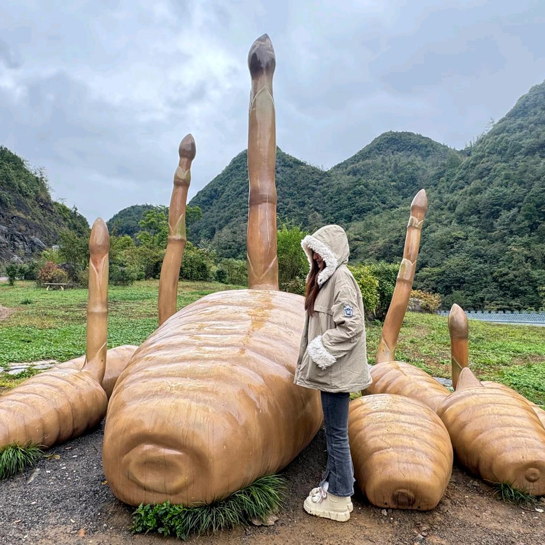深山天麻铺【白杨】