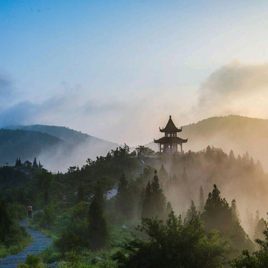 暗纹蚕丝优雅女装