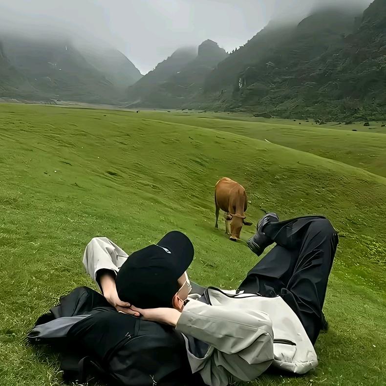 候鸟.