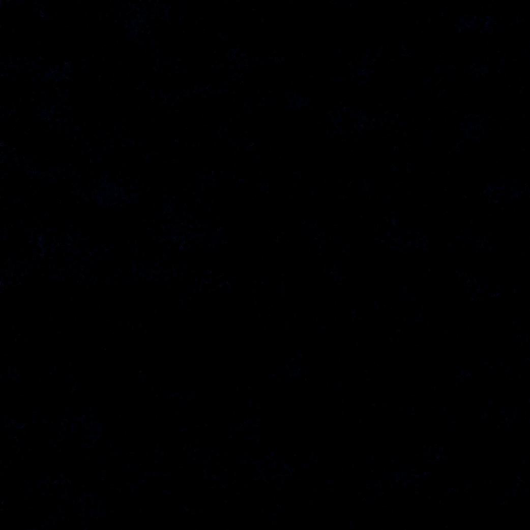 ☆一王打不进♡一王兜不住☆
