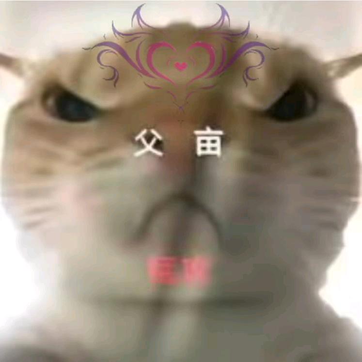 暗区突围七七鼠