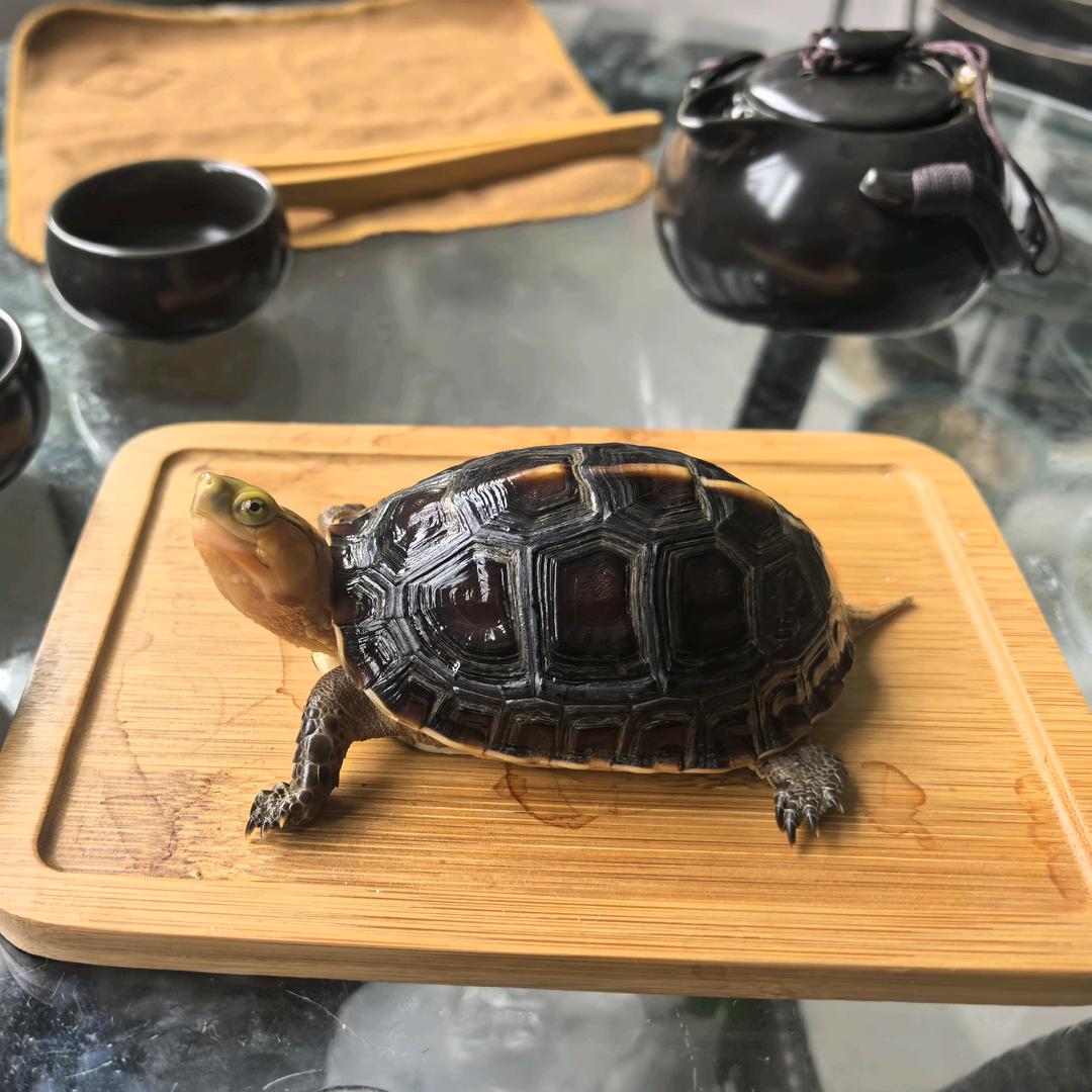 💵旧巷小时侯🐢