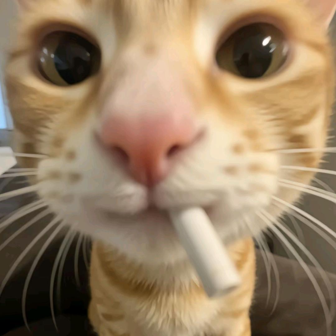 深情椰子水