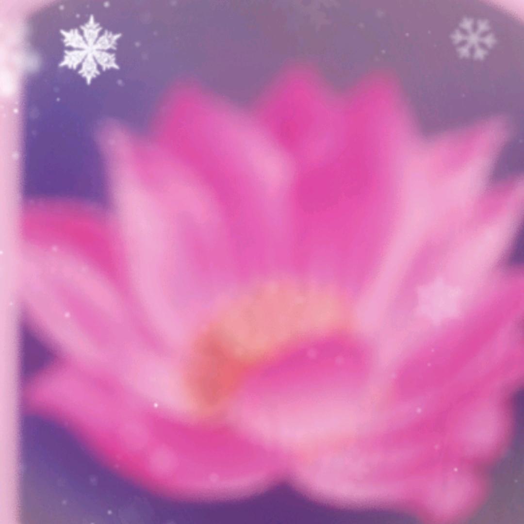 萱然奶奶