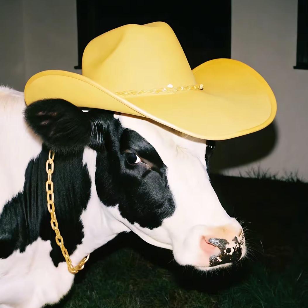 青山白鹿🐷🐔