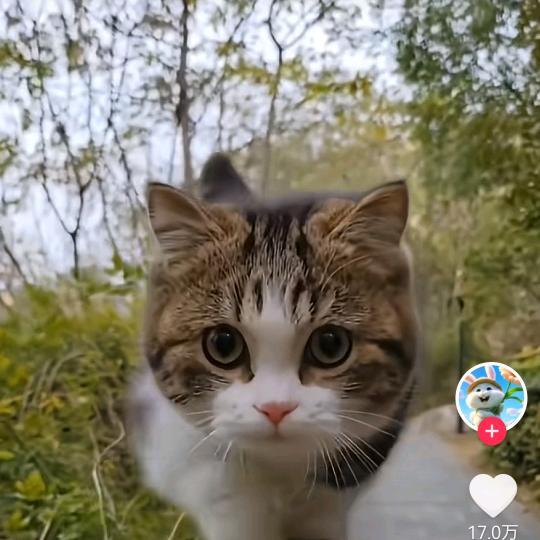 萌