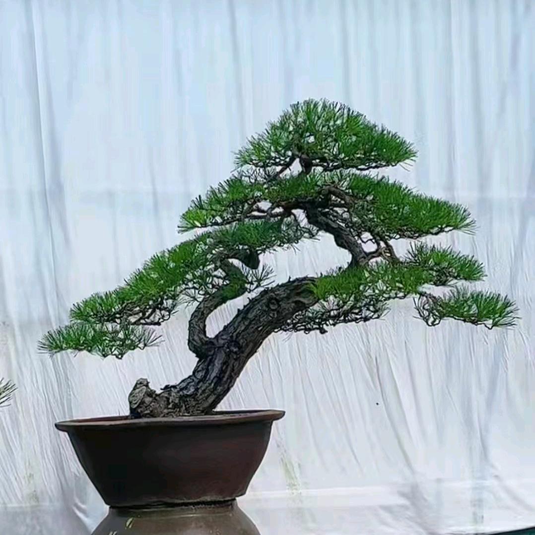 一笑而过