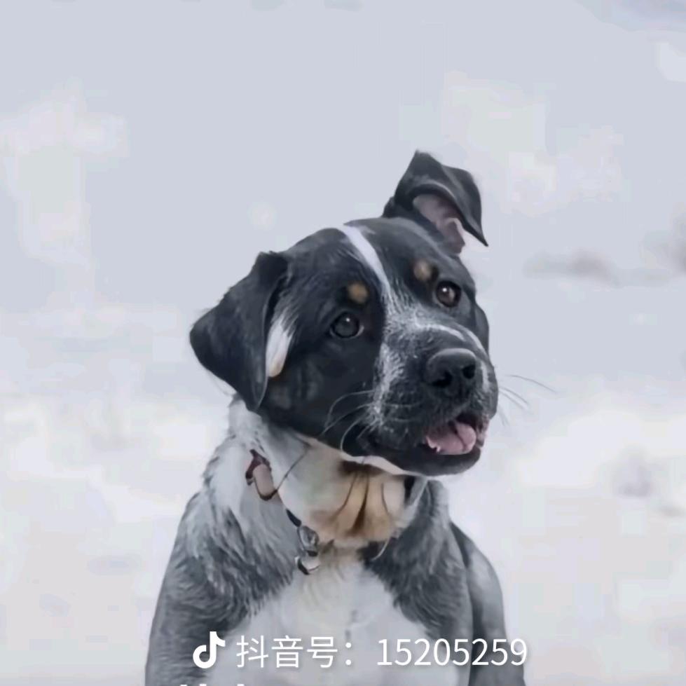 你永远得不到的男银