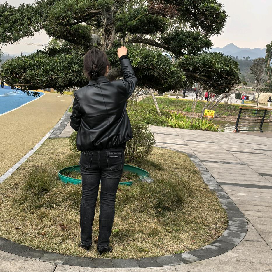 人生太多故事