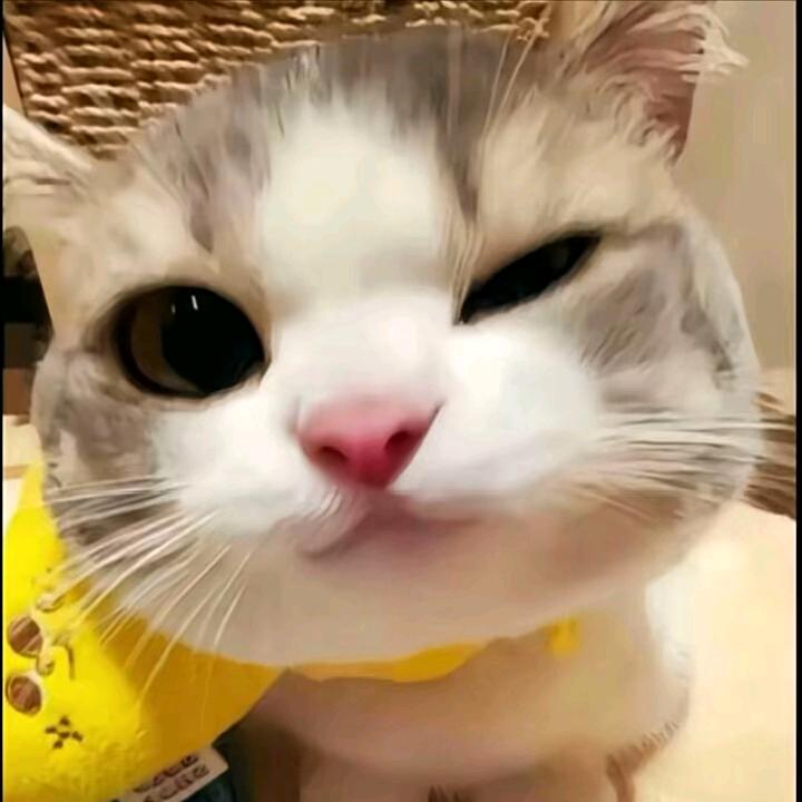 活人微死