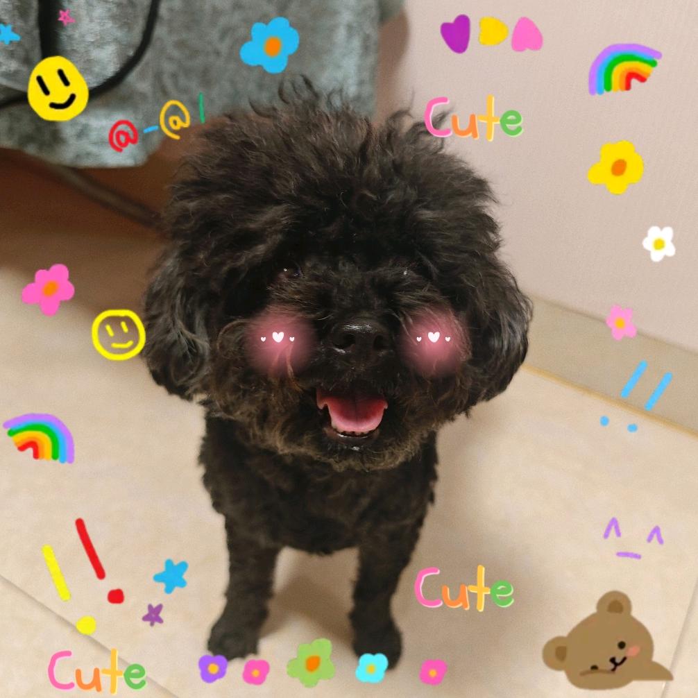 黄吕吕绿吕吕与吕