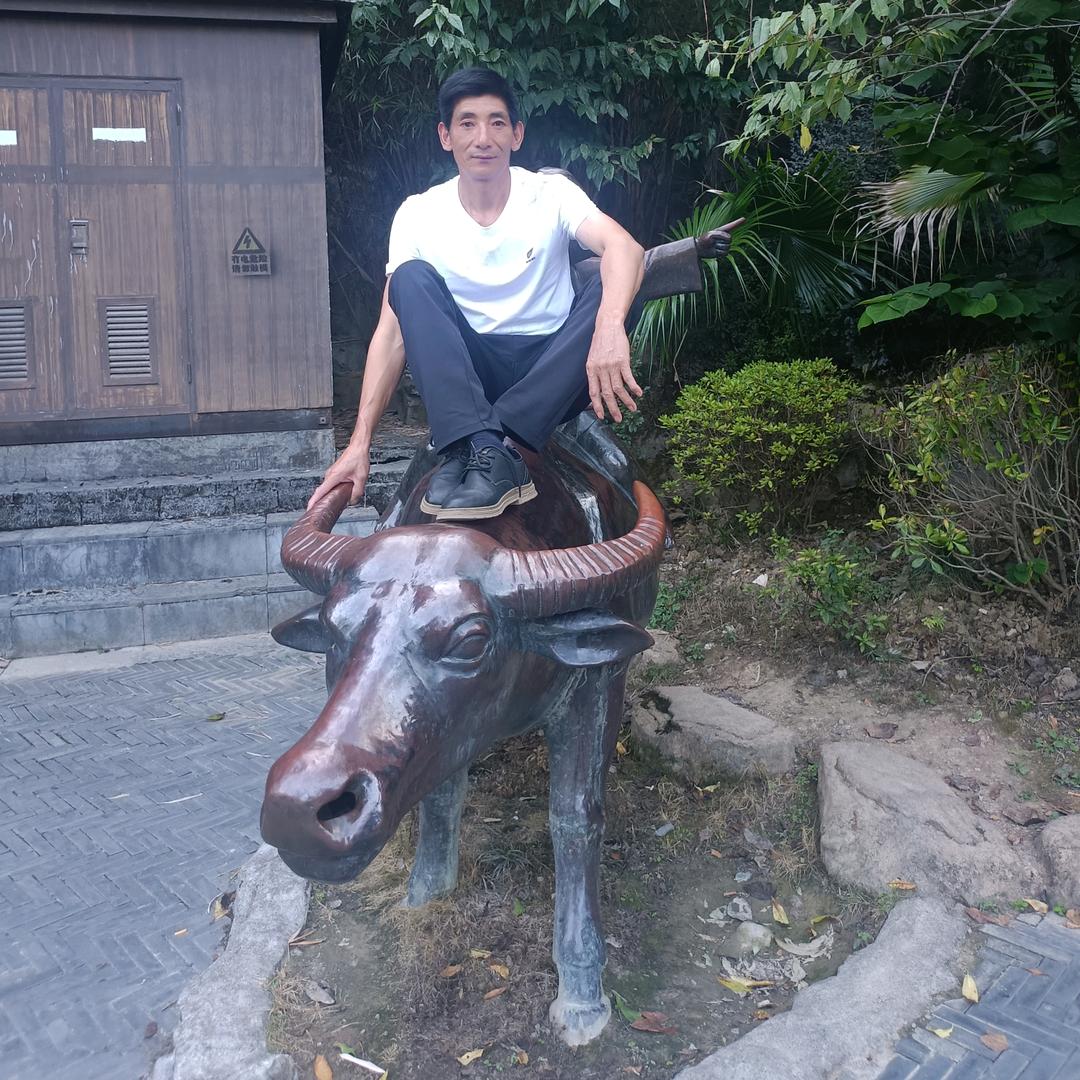 🍏李🍎尚🎉往🎀来🌹