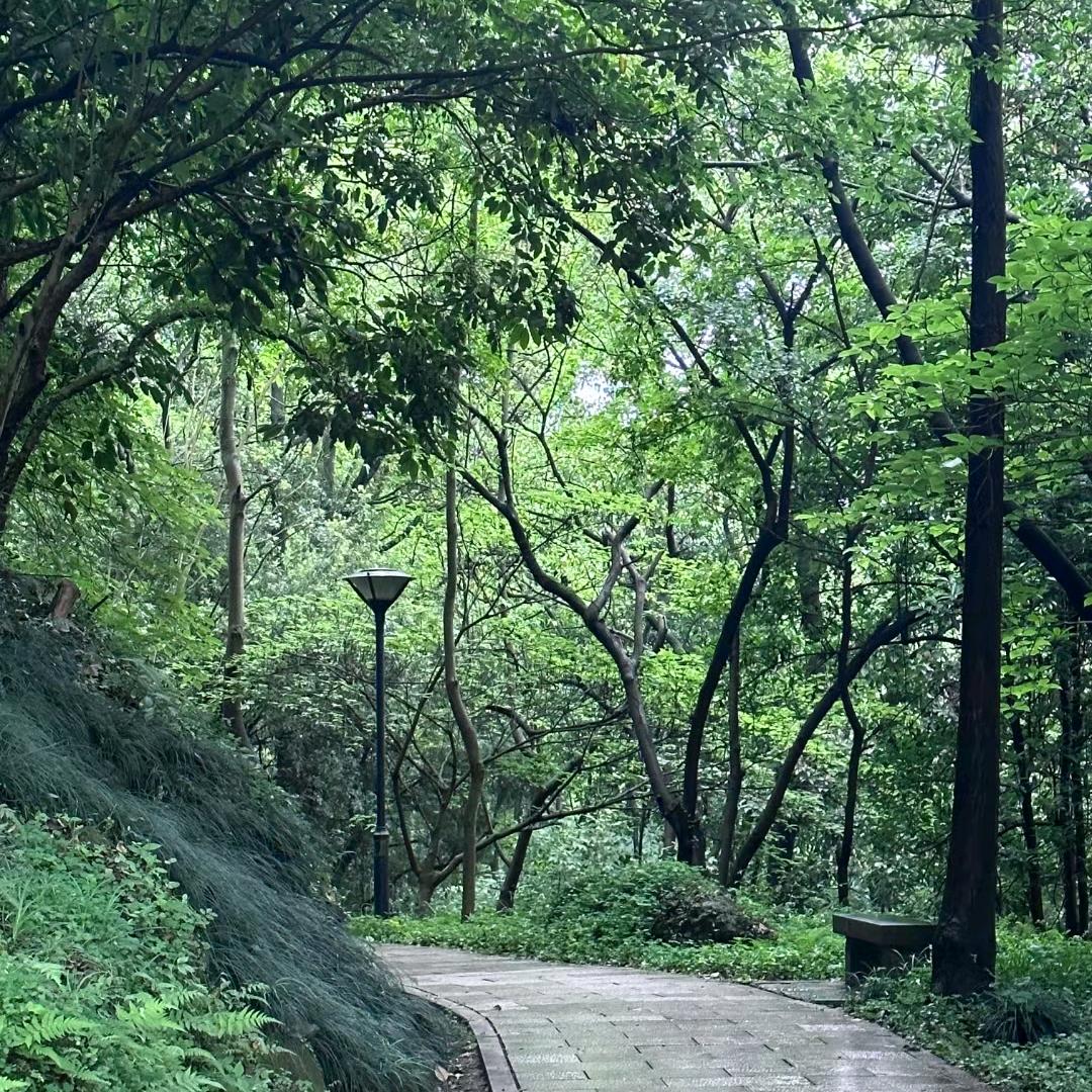幸福🥰