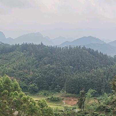 桂平专业整福地