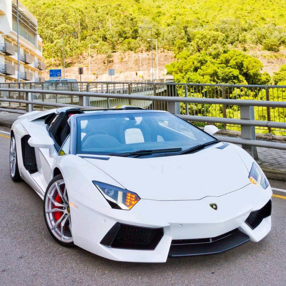 ꧁❦愿烦恼随风飘 ❦꧂