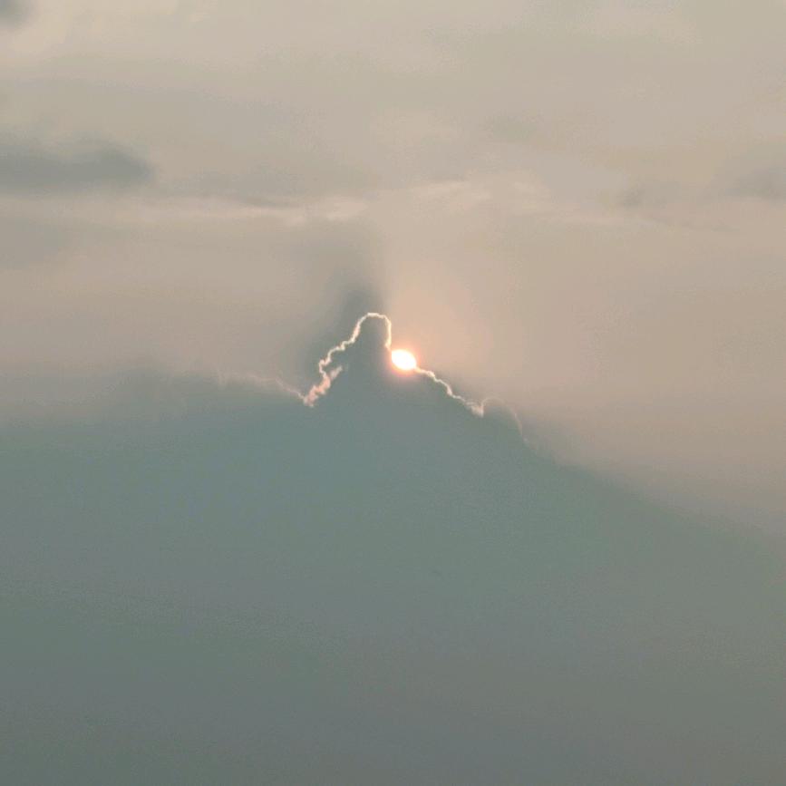 城市清道夫🧹周