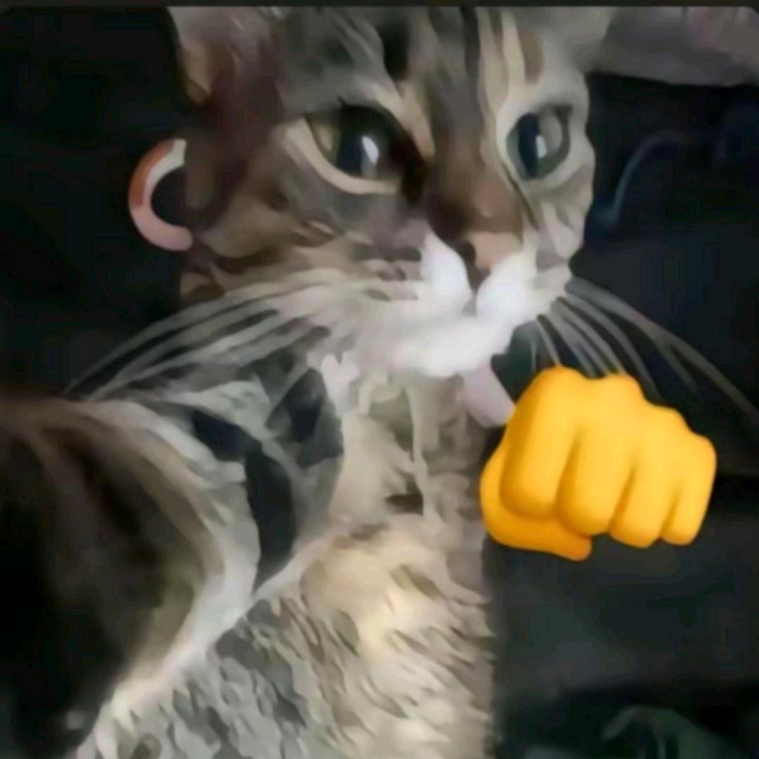 不吃钢针（美系开线版）