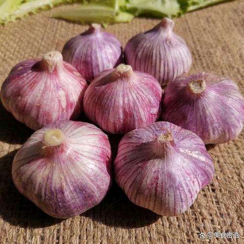 金乡耕新农副产品有限公司