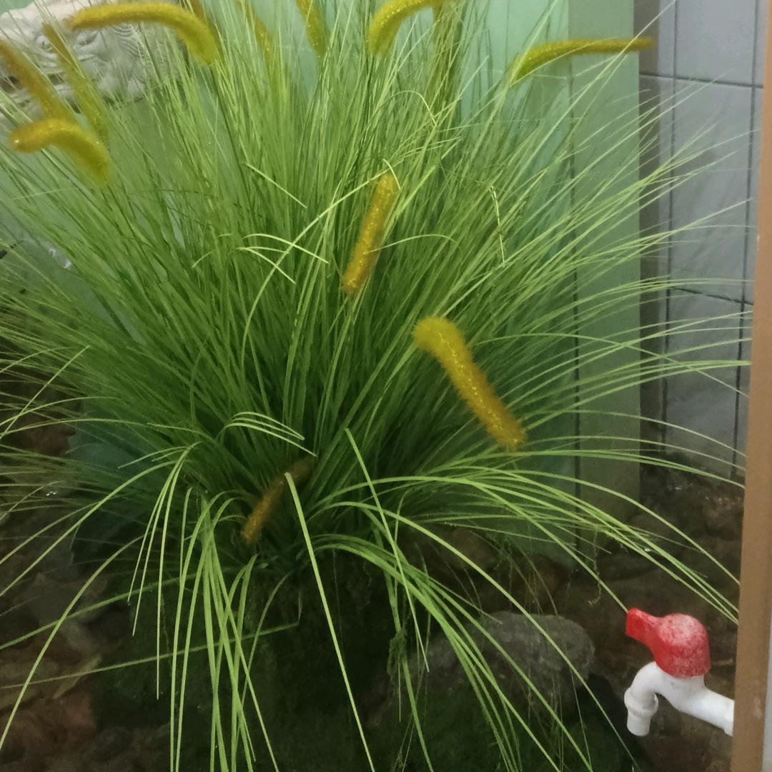 听风ℳღ念旧᭄ꦿ꯭꯭დ