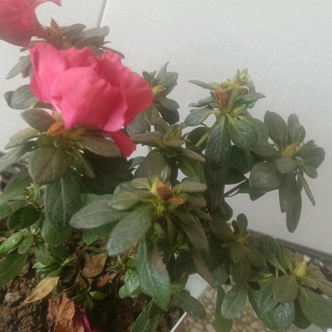 这个秘密我藏了3年了