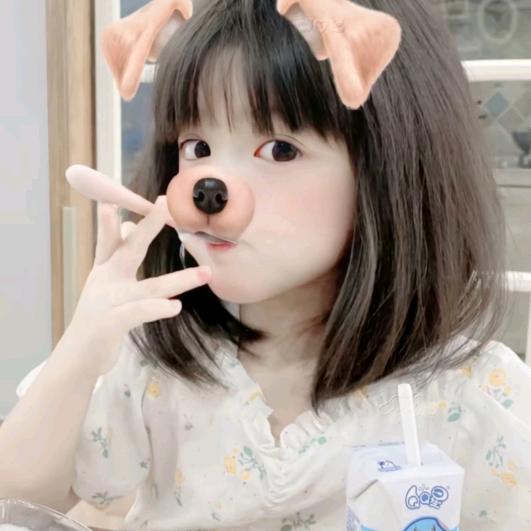 苏叶