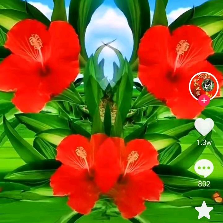 幸福的一家人