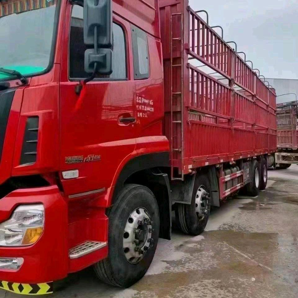 真心💘遇见💖无缘💖