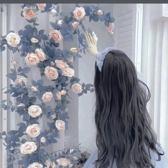 多喜乐＼(^ω^＼)