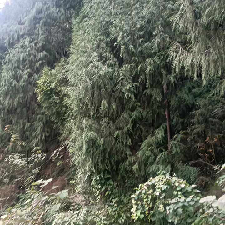 不离不弃