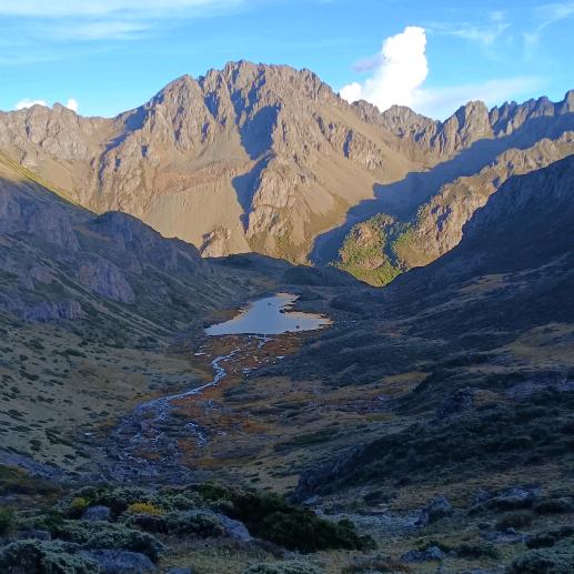 🐉🐲次仁罗加🐉🐲