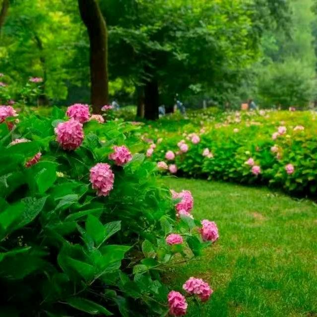 @@￥余生#不将就