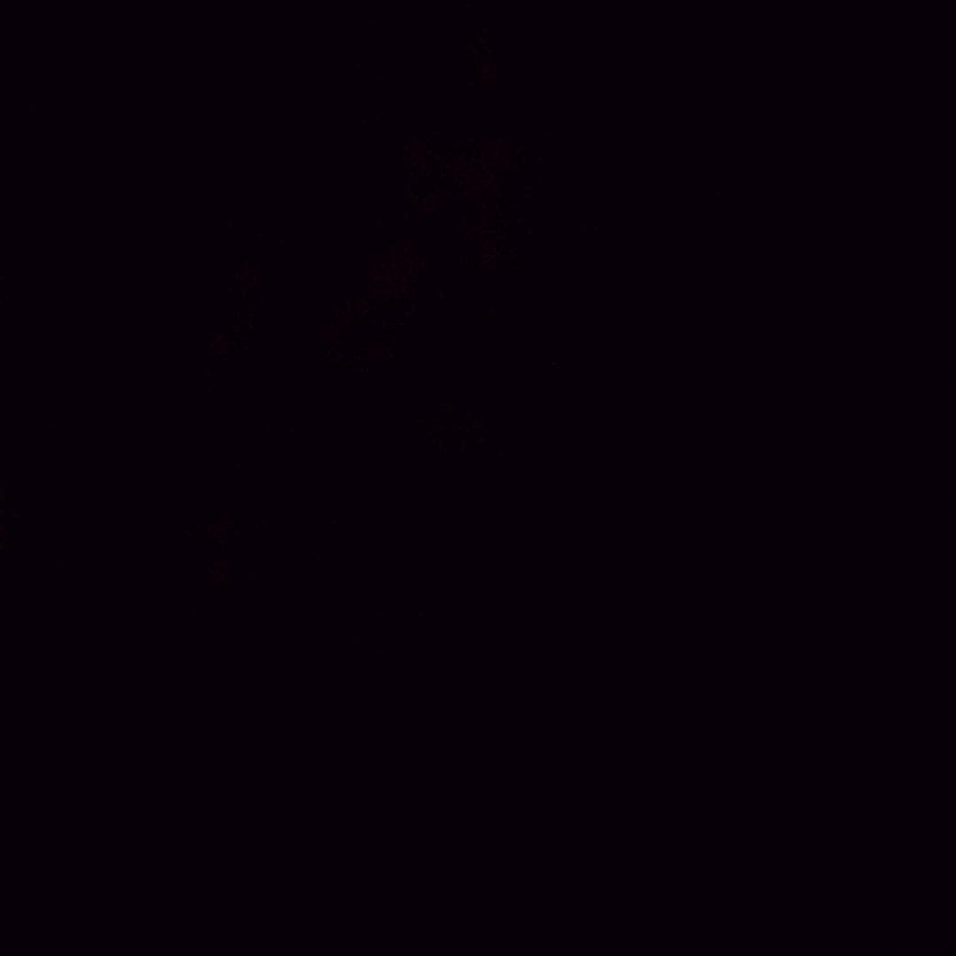 此号已注销（）