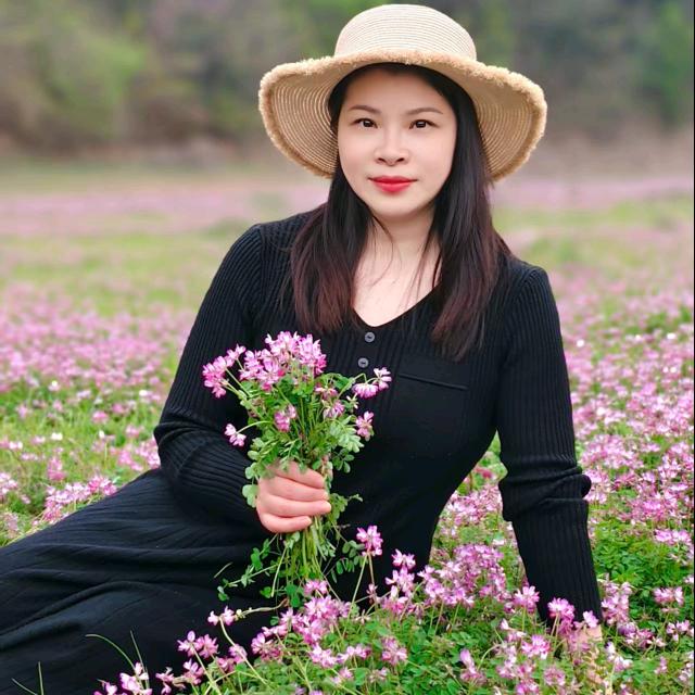 小凤向前