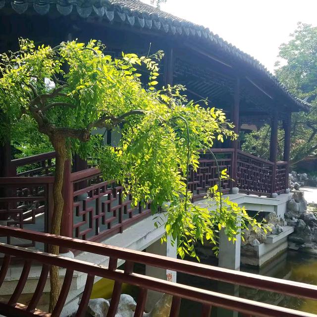 Z明明
