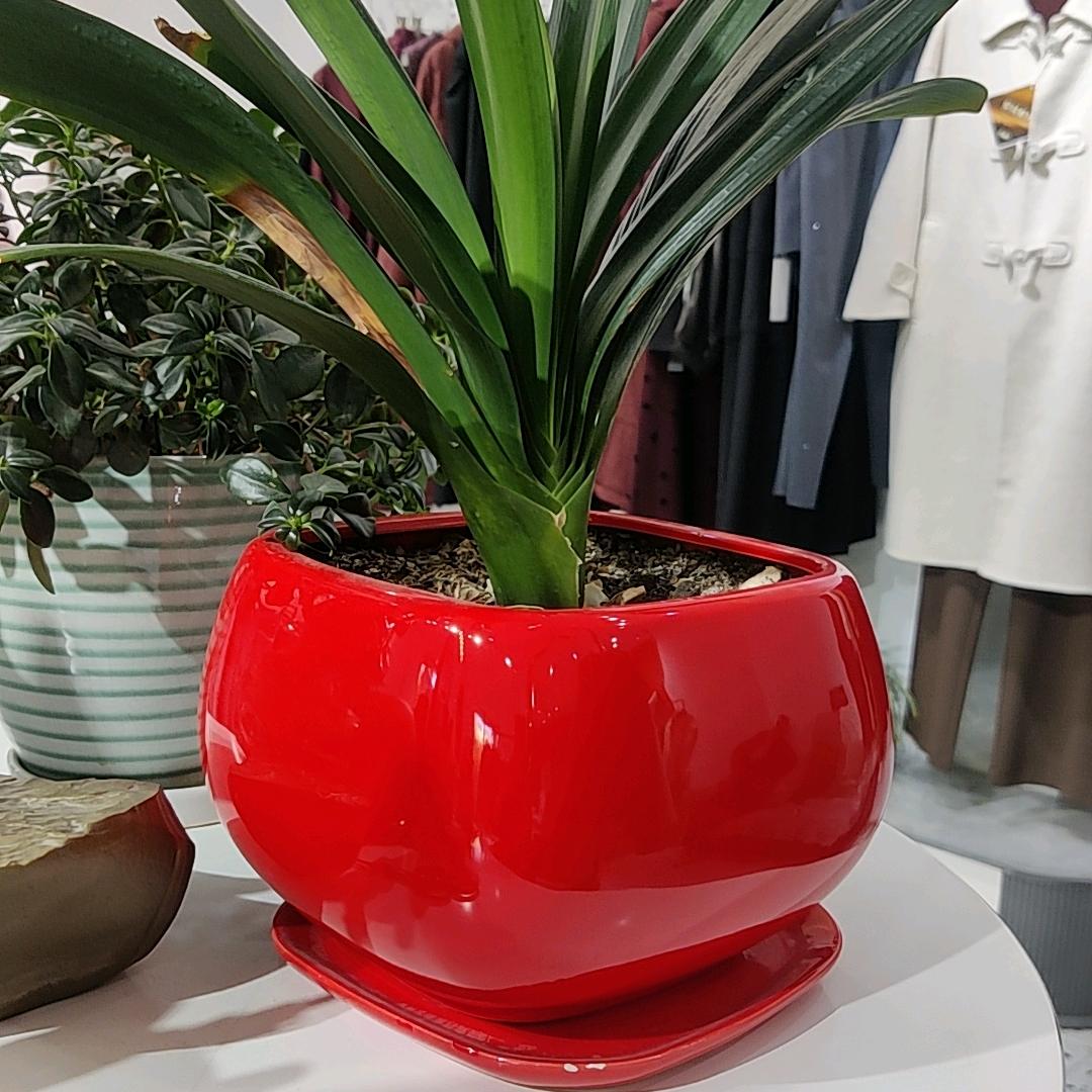 哈密国真名品(火车站)兰溪谷旁