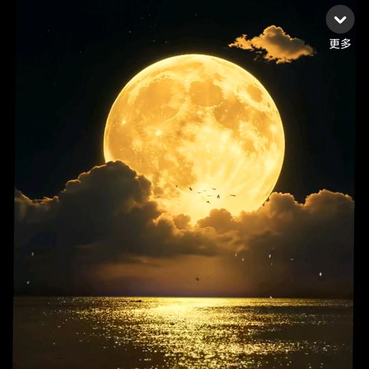 金樽对月🔥🔥