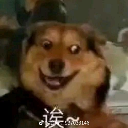 擎空丶（28岁老登儿奔三版）