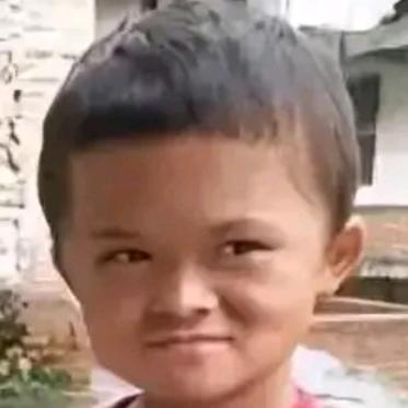 呆地