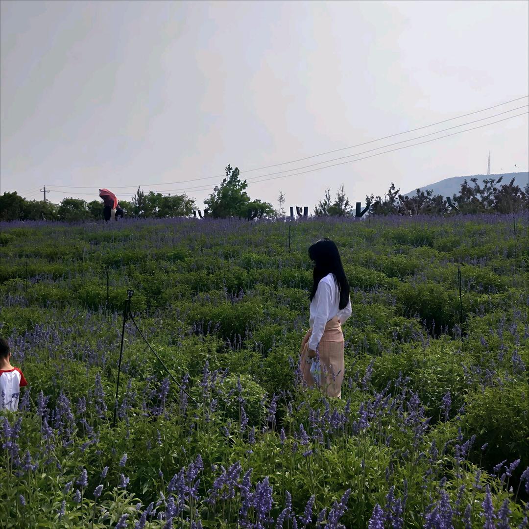 满妈