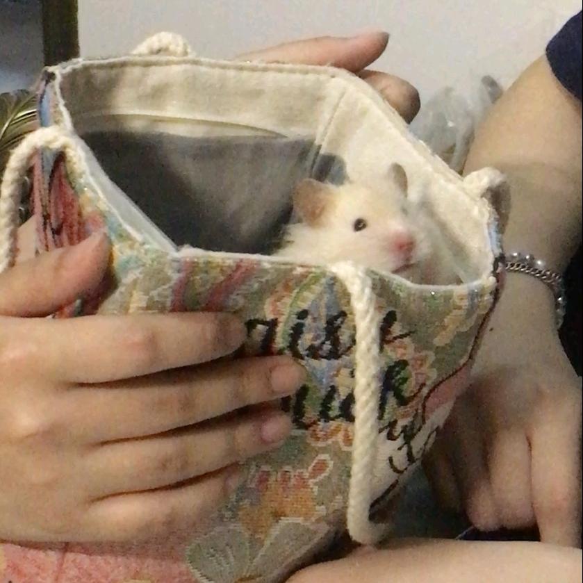 麻辣香郭女士