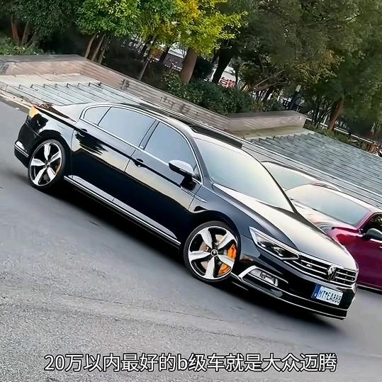 阿树1