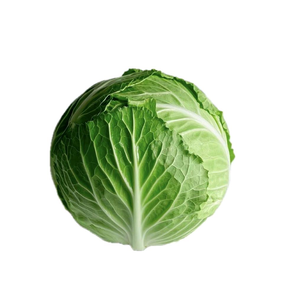 兴安盟联塑管道仓储配送中心