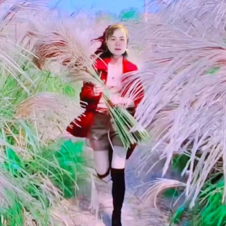 胡梦梦
