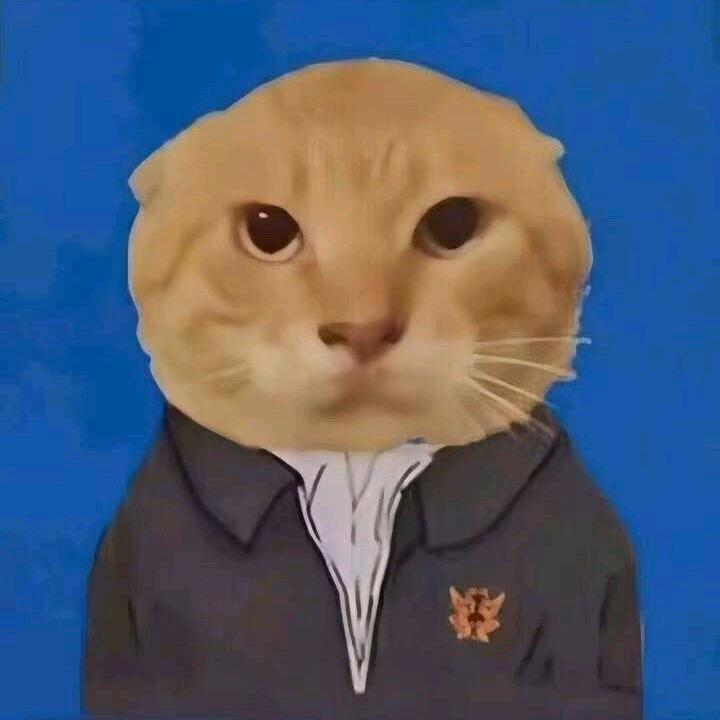 年愁的今夜