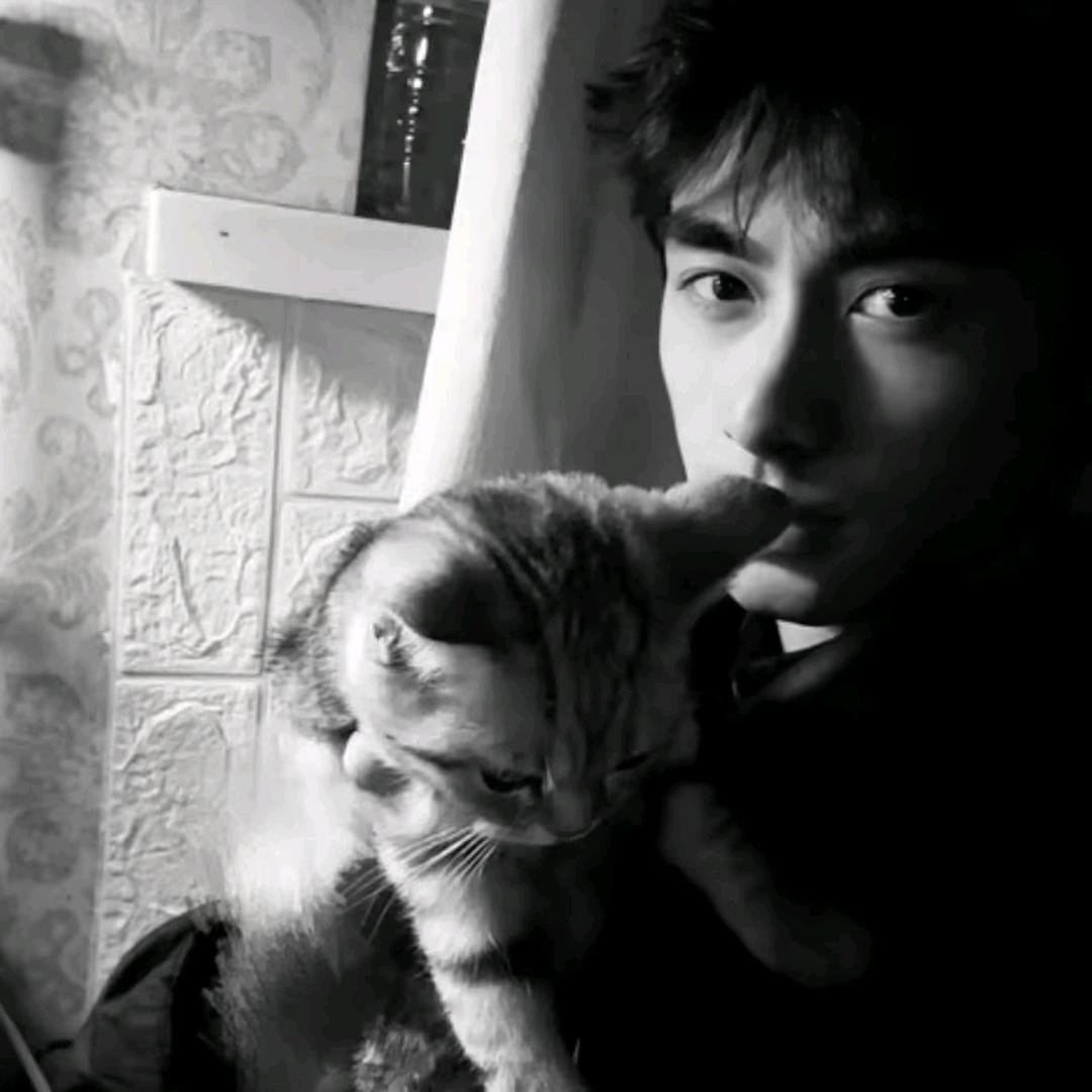 。。。。。。。