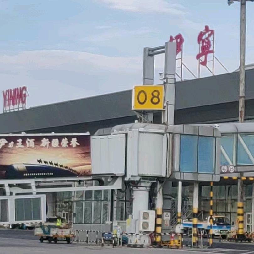 疆域牛副