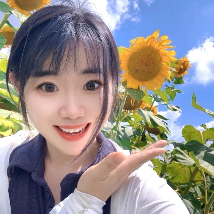 爱丽不离