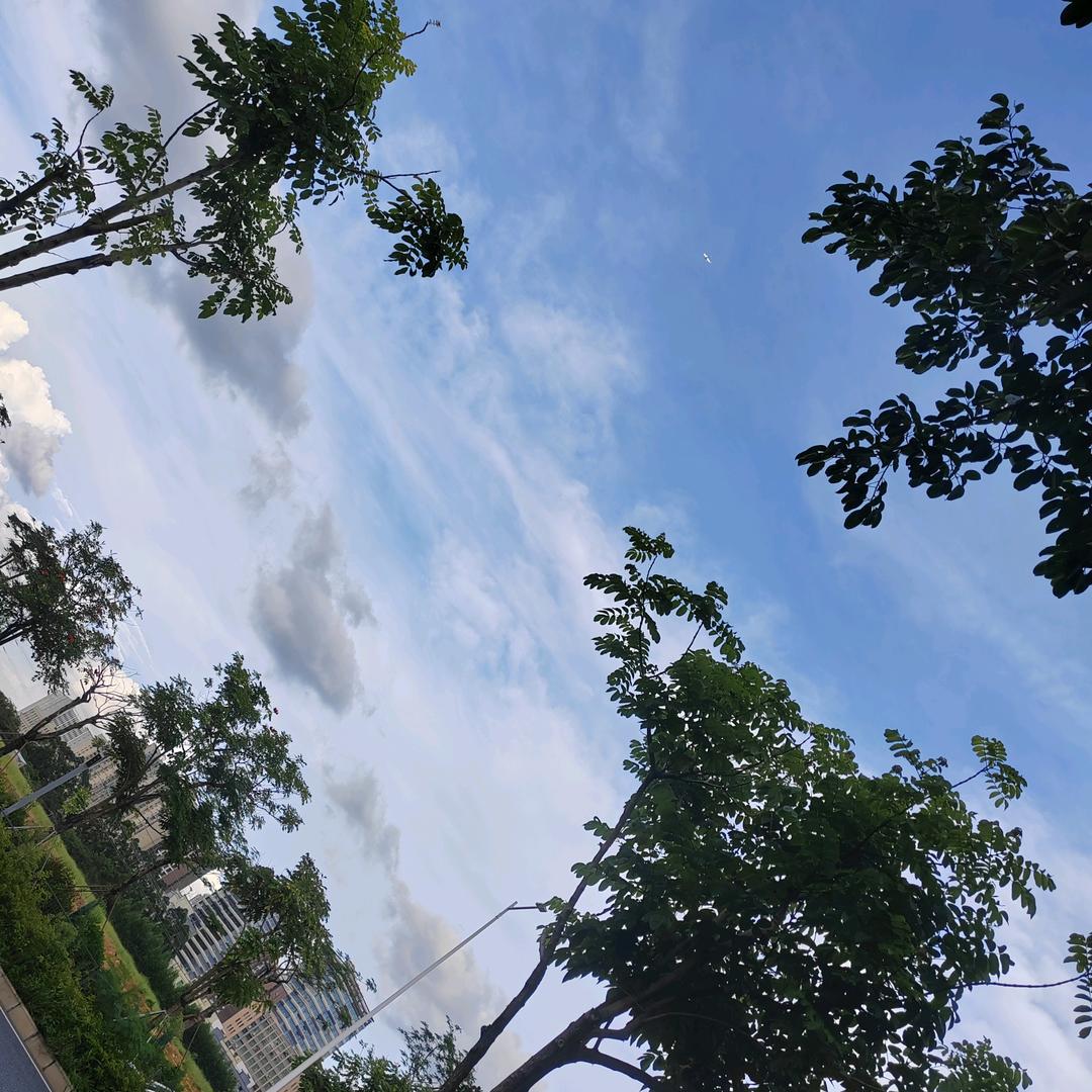 泽熙